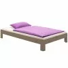 IDIMEX Futonbett Thomas 90 X 190 Cm Taupe Lackiert