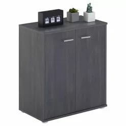 CARO-Möbel Schuhschrank LENNIS 2 Türen In Esche Grau