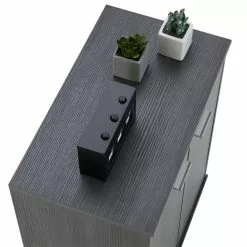 CARO-Möbel Schuhschrank LENNIS 2 Türen In Esche Grau -Sideboards Verkäufe 95449 4