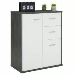 CARO-Möbel Kommode LOCARNO 2 Türen, 2 Schubladen In Esche Grau/weiß